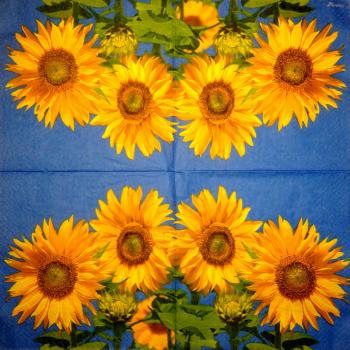 119 Sonnenblumen - 3-lagig (119)